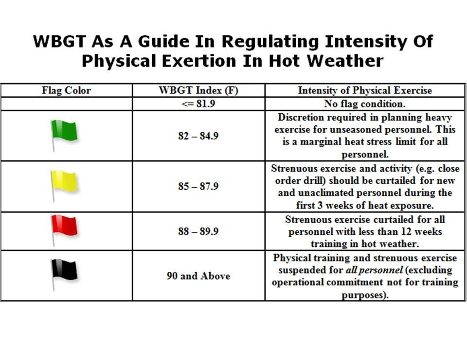 Beat the heat: A summer safety brief