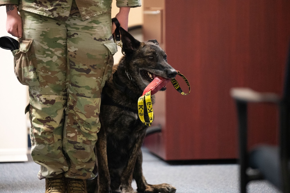 Military working dogs retire
