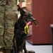 Military working dogs retire