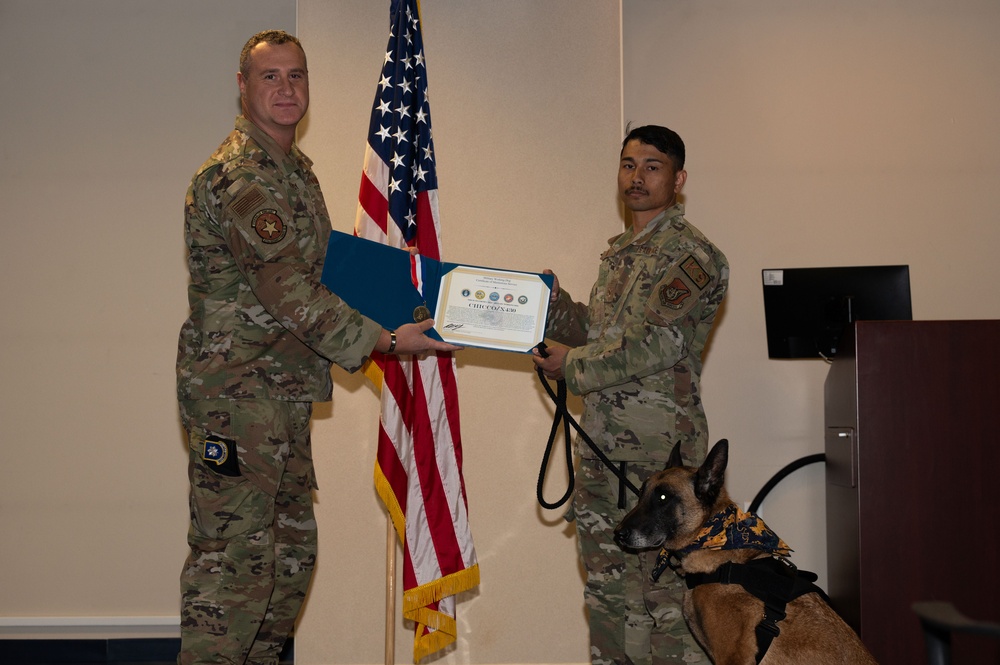 Military working dogs retire