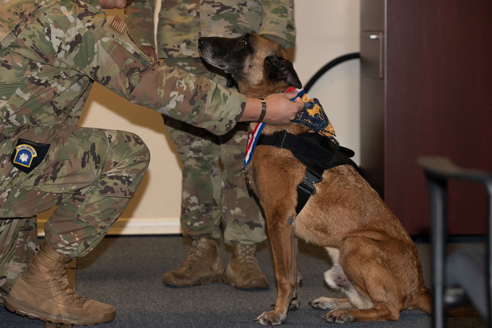Military working dogs retire
