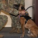 Military working dogs retire