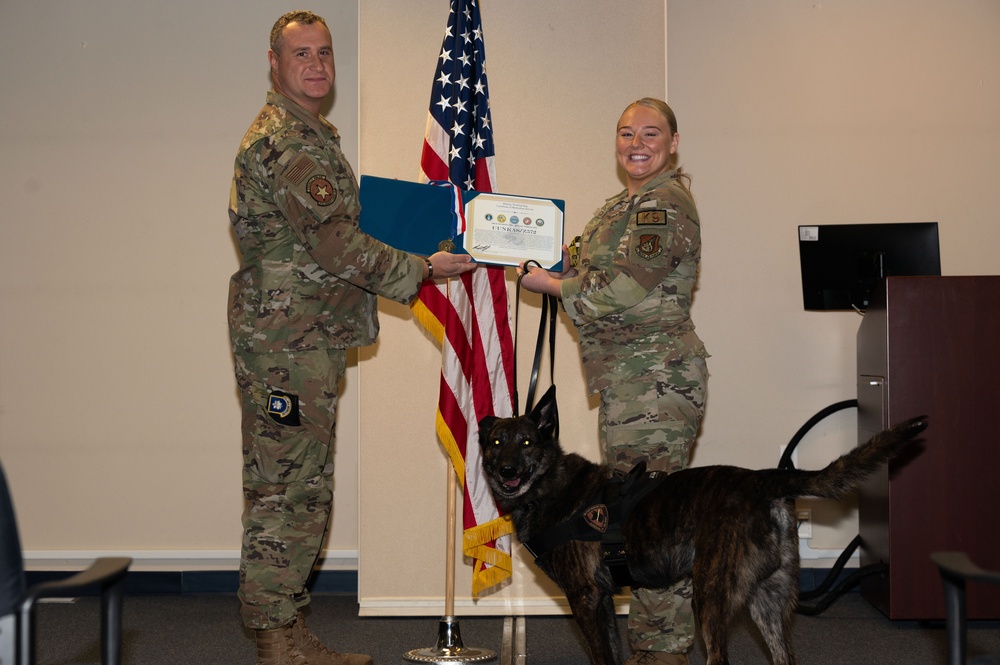 Military working dogs retire