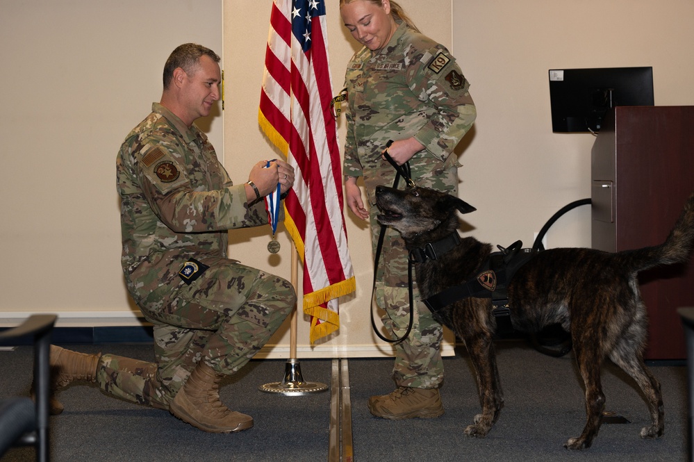 Military working dogs retire