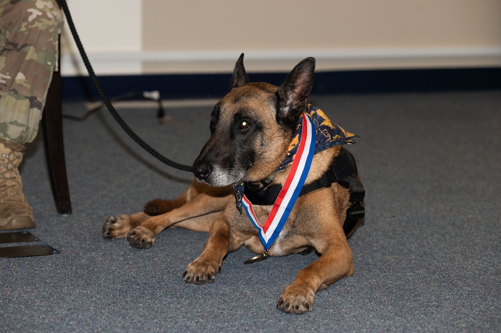 Military working dogs retire