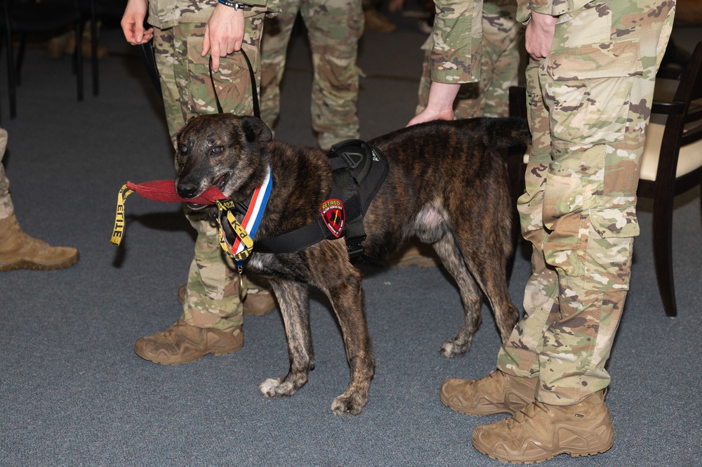 Military working dogs retire
