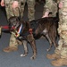 Military working dogs retire
