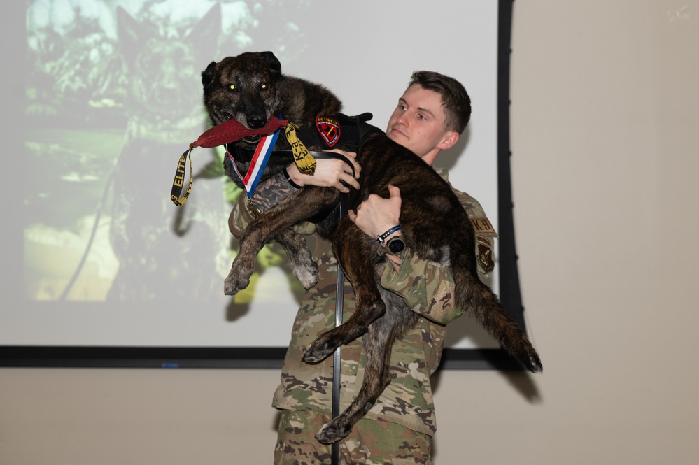Military working dogs retire