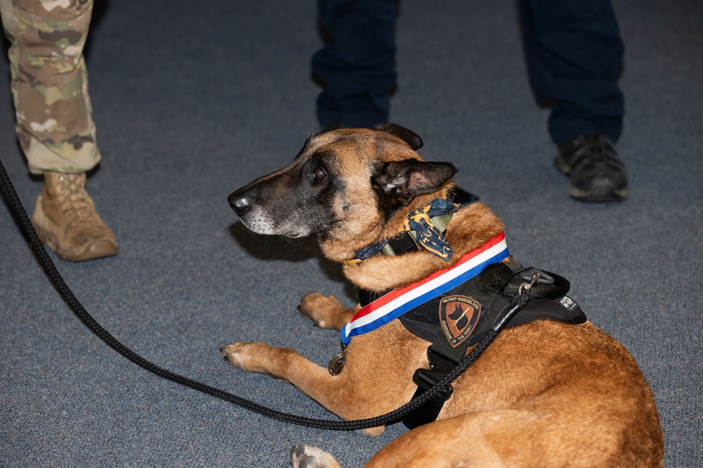Military working dogs retire