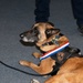 Military working dogs retire