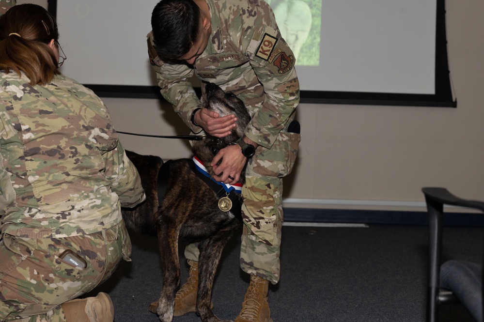 Military working dogs retire