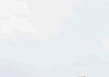 U.S. Army Green Berets perform drivers training during joint multilateral exercise