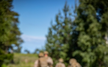 U.S. Marines, Swedish 181st Armored Battalion conduct an integrated company level live-fire and maneuver range in Gotland, Sweden during BALTOPS 24