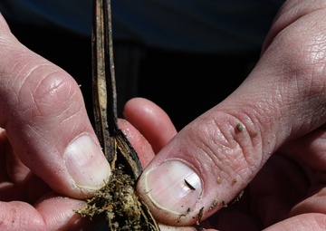 From the Concrete to the Wild