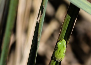 From the Concrete to the Wild