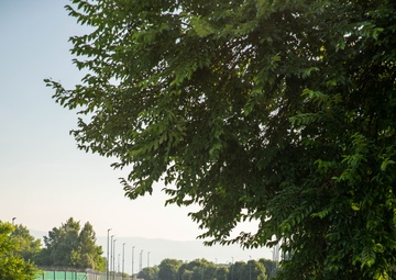 SETAF-AF holds Army Heritage Run