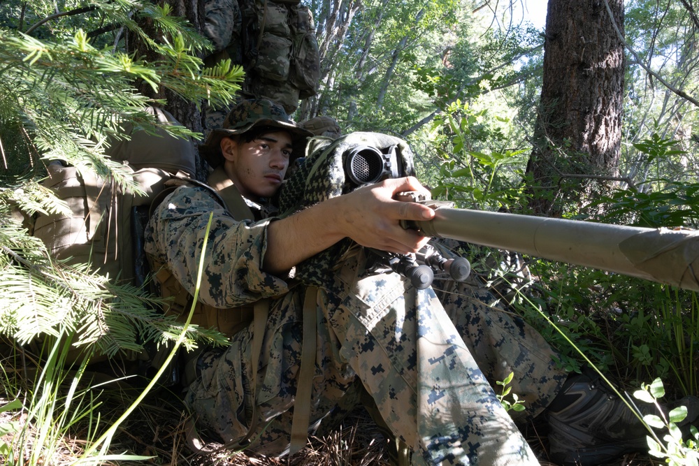 MTX 4-24: 4th Recon Patrols Mountain