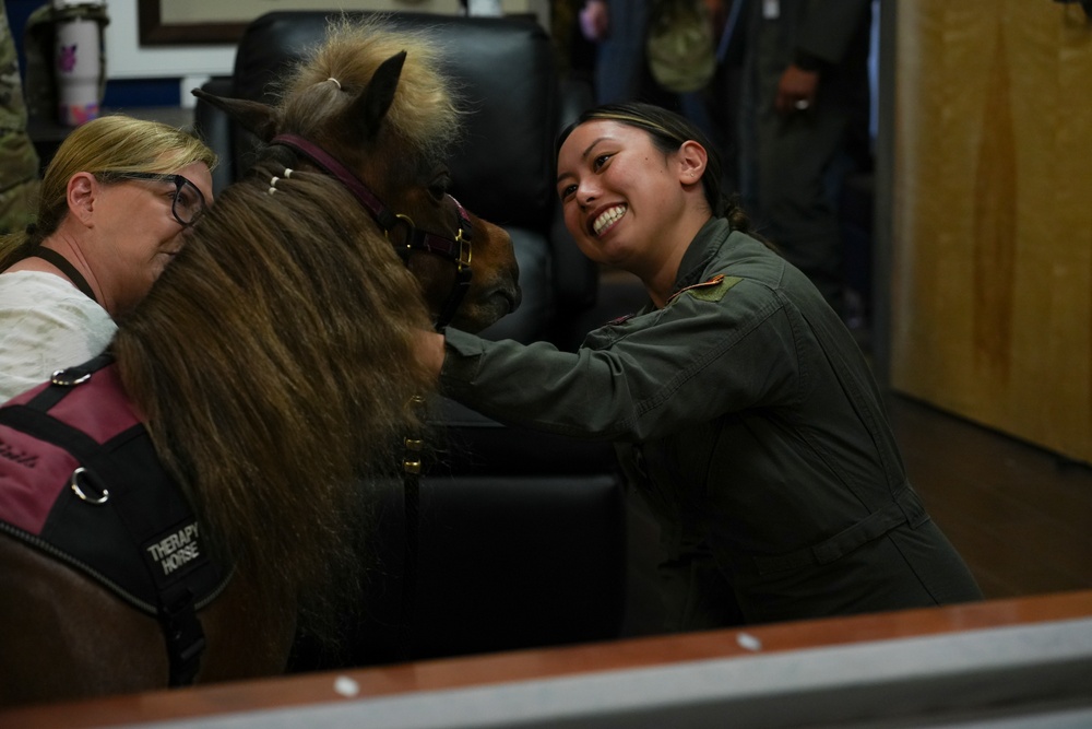 Miniature Therapy Horses bring extra joy to Creech AFB