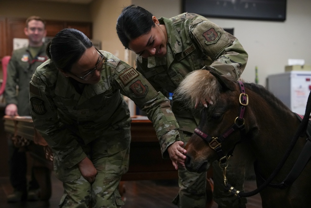 Miniature Therapy Horses bring extra joy to Creech AFB