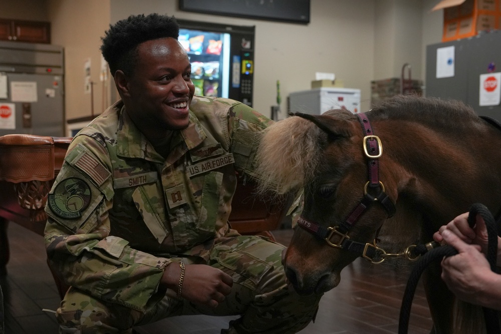 Miniature Therapy Horses bring extra joy to Creech AFB