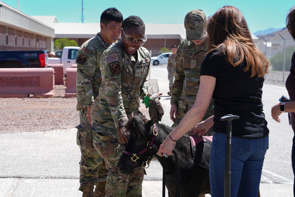 Miniature Therapy Horses bring extra joy to Creech AFB