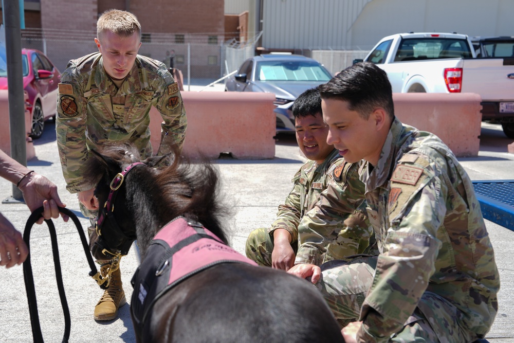 Miniature Therapy Horses bring extra joy to Creech AFB