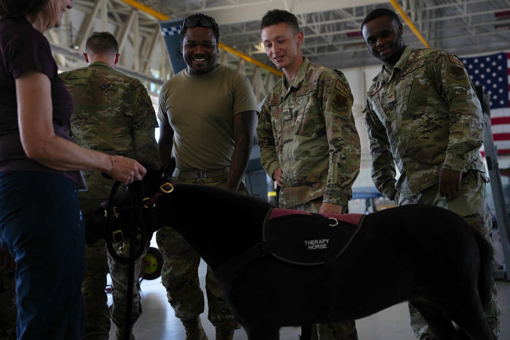 Miniature Therapy Horses bring extra joy to Creech AFB