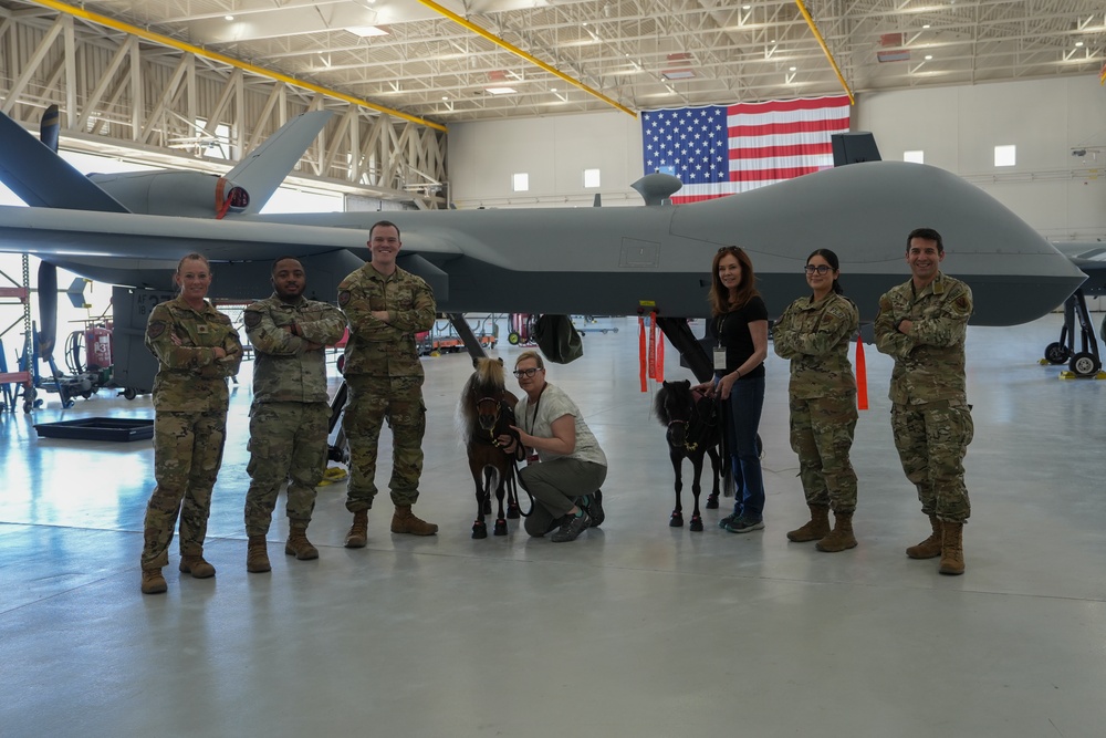 Miniature Therapy Horses bring extra joy to Creech AFB