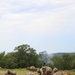 Mortar Events Throughout Annual Training 2024