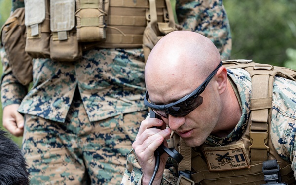 BALTOPS 24: Uto Island Ignites with HIMARS Kilo Battery Fire