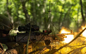 U.S. Marines Familiarize Increase Proficiency with Jungle Environment in Japan