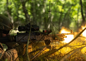 U.S. Marines Familiarize Increase Proficiency with Jungle Environment in Japan