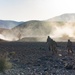 U.S. Marines with 3/25 execute range 410 alpha during ITX 4-24