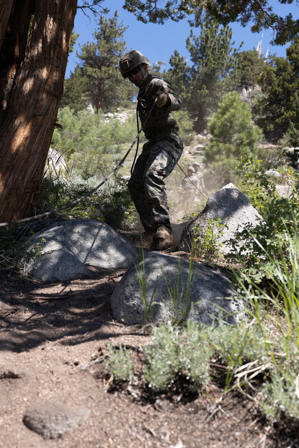 MTX 4-24: Hard Line