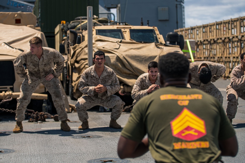 Alpha Co Lead MCMAP Aboard USS Harpers Ferry