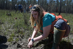 Environmental impacts at Grafenwoehr Training Area