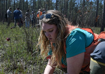 From the Concrete to the Wild
