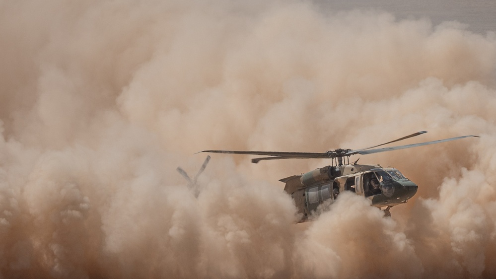 Eager Lion live fire demonstration