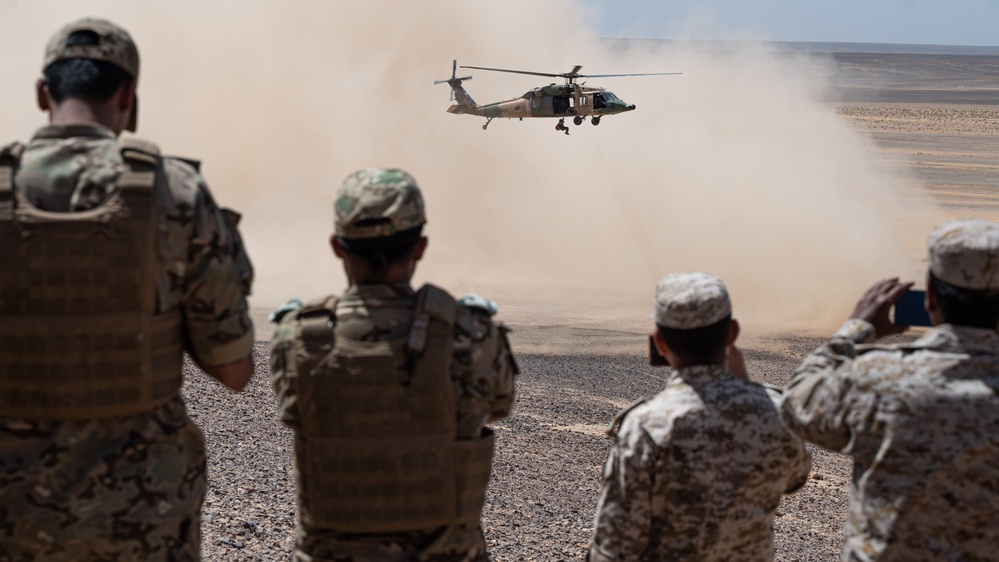 Eager Lion live fire demonstration