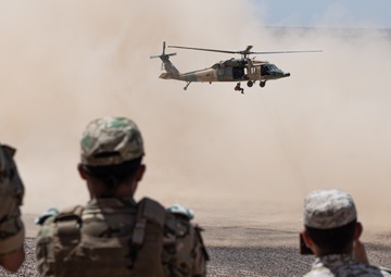 Eager Lion live fire demonstration