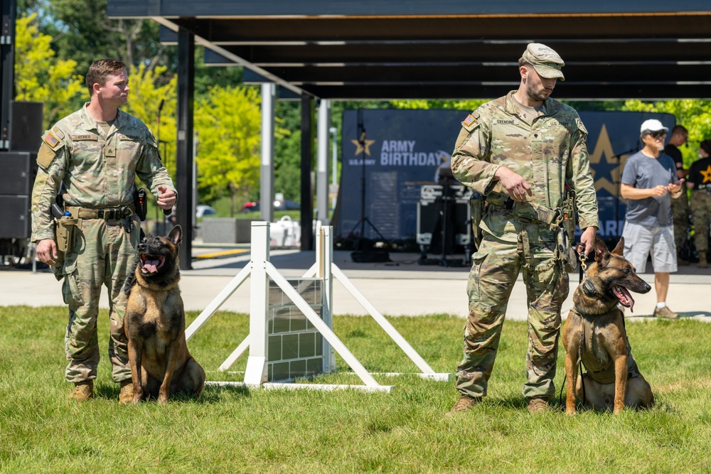 249th Army Birthday Festival