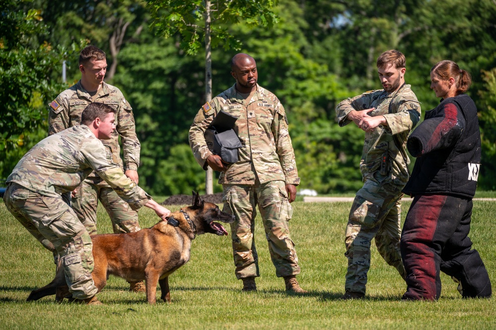 249th Army Birthday Festival