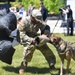 249th Army Birthday Festival