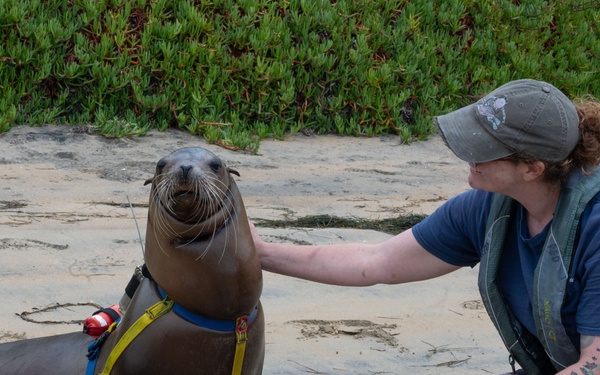 Navy Employer Recognition Event 2024