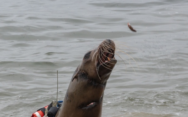 Navy Employer Recognition Event 2024