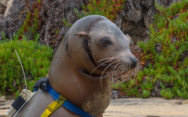 Navy Employer Recognition Event 2024