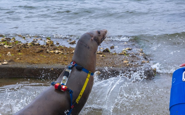 Navy Employer Recognition Event 2024