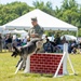 947th Military Police Detachment does a demo for the Army’s 249th Birthday