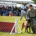 947th Military Police Detachment does a demo for the Army’s 249th Birthday