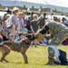 947th Military Police Detachment does a demo for the Army’s 249th Birthday